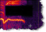 Adobe Audition 2.0 after frequency space editing