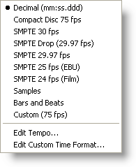 Adobe Audition 2.0 horizontal scale options