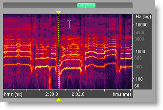 Adobe Audition 2.0 lead vocals in spectral view