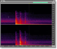 Adobe Audition 2.0 Spectral Frequency Display